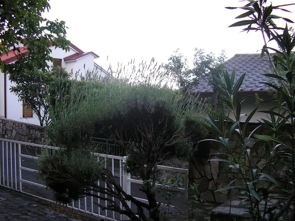 Apartment Bilic Klenovica Bilik gambar